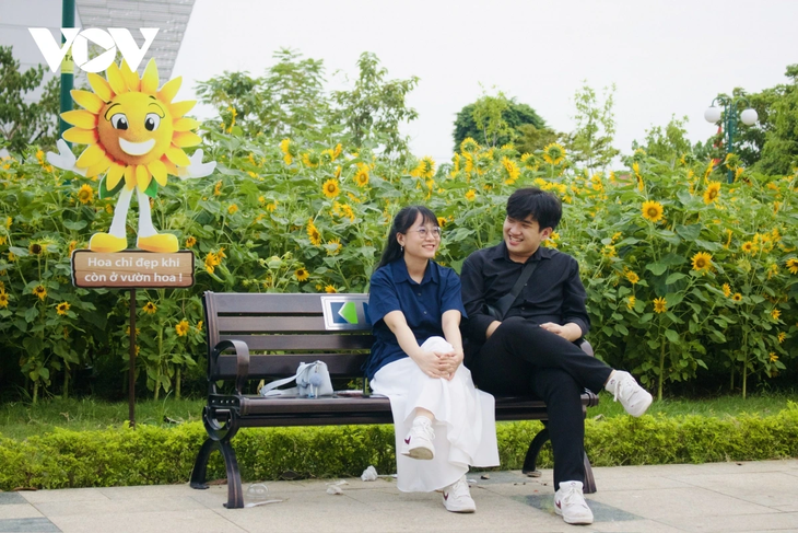 Young people flock to sunflower fields by Saigon River for stunning photos - ảnh 2