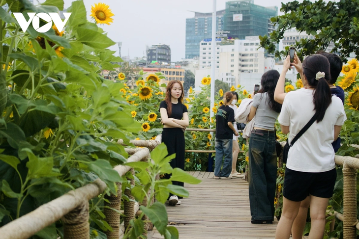 Young people flock to sunflower fields by Saigon River for stunning photos - ảnh 9