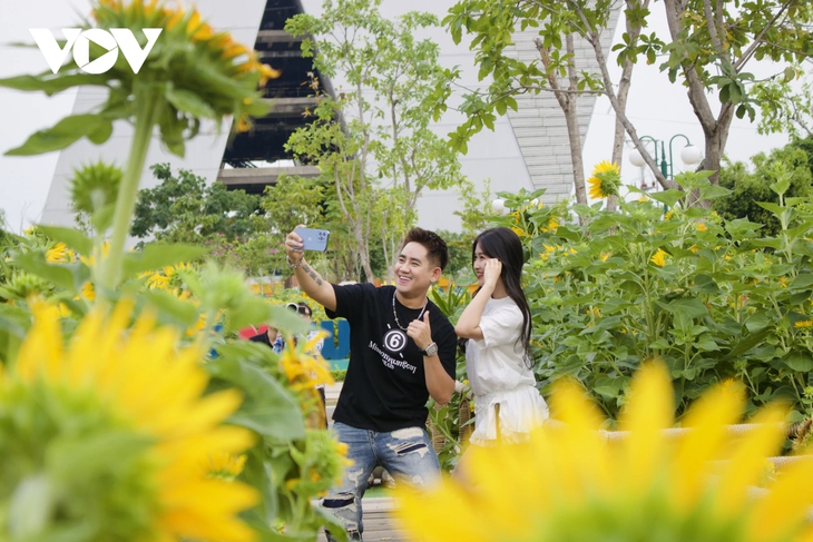 Young people flock to sunflower fields by Saigon River for stunning photos - ảnh 7