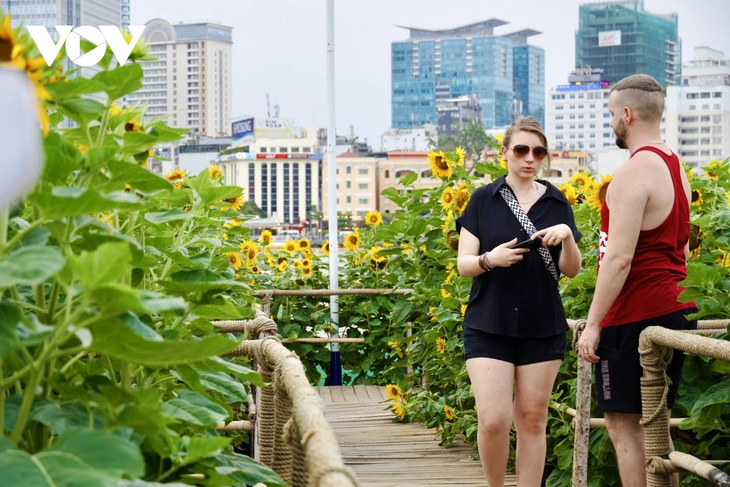 Young people flock to sunflower fields by Saigon River for stunning photos - ảnh 6