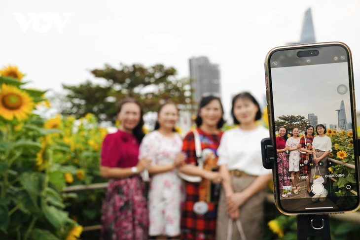 Young people flock to sunflower fields by Saigon River for stunning photos - ảnh 3