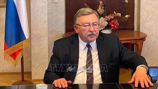 Russia opposes French nuclear transfers in Europe - ảnh 1