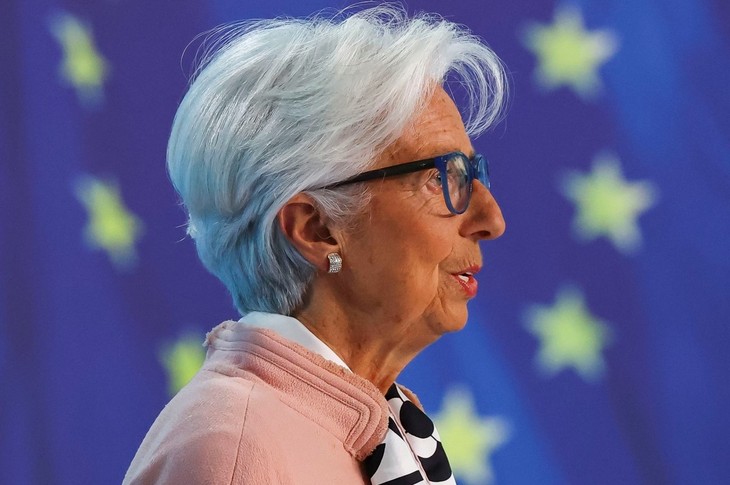 ECB cuts interest rates by 0.25% - ảnh 1