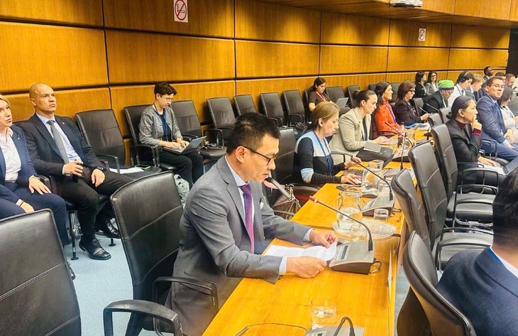 Vietnam reaffirms strong support for nuclear test ban treaty - ảnh 1