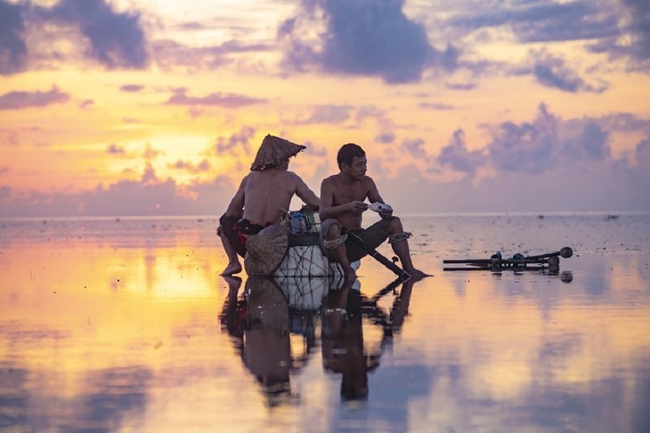 ความงามที่สงบเงียบบนชายหาดกวางลาง จังหวัดท้ายบิ่ง - ảnh 10