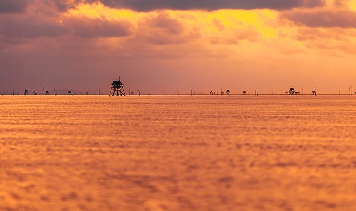 ความงามที่สงบเงียบบนชายหาดกวางลาง จังหวัดท้ายบิ่ง - ảnh 12