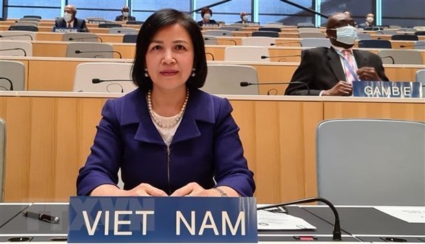 Вьетнам прилагает огромные усилия для защиты прав человека - ảnh 1
