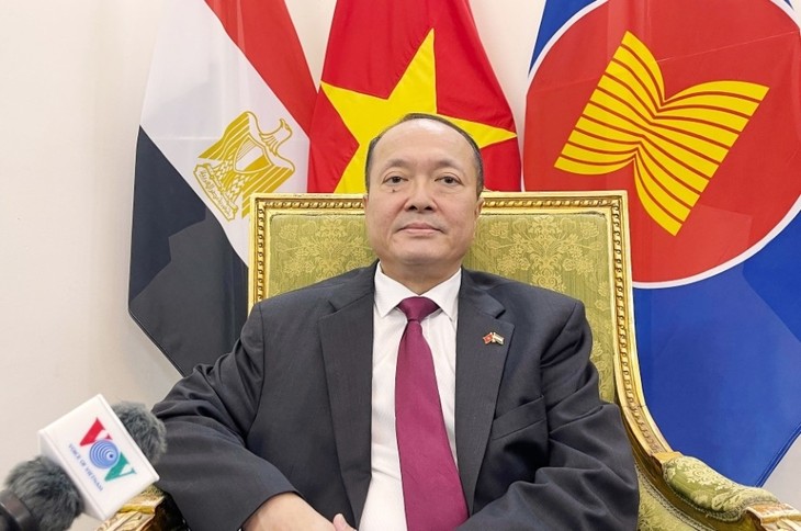 Открытие нового этапа сотрудничества с Египтом и Анголой - ảnh 2