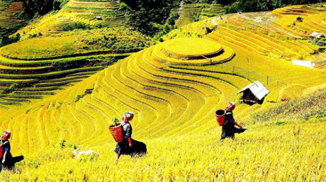 Yên Bái: Sẵn sàng cho Tuần Văn hoá -  Du lịch Ruộng bậc thang Mù Cang Chải 2017 - ảnh 1