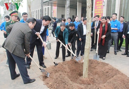 Văn phòng Quốc hội tiếp nhận và trồng cây hoa ban - ảnh 1