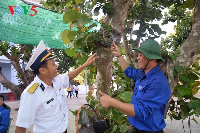 Phan Thanh Sang- Thanh niên tiêu biểu ươm mầm xanh biển đảo quê hương - ảnh 2