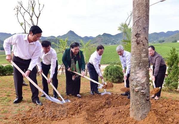 Phó Chủ tịch Thường trực Quốc hội Tòng Thị Phóng tiếp xúc cử tri tỉnh Sơn La - ảnh 1