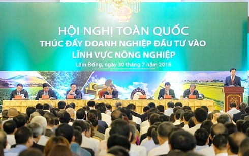 Hội nghị toàn quốc thúc đẩy doanh nghiệp đầu tư vào lĩnh vực nông nghiệp  - ảnh 2