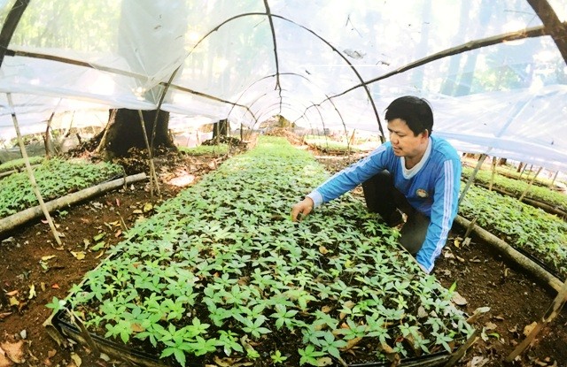 Báu vật đại ngàn ra mắt tại thủ đô Hà Nội - ảnh 4