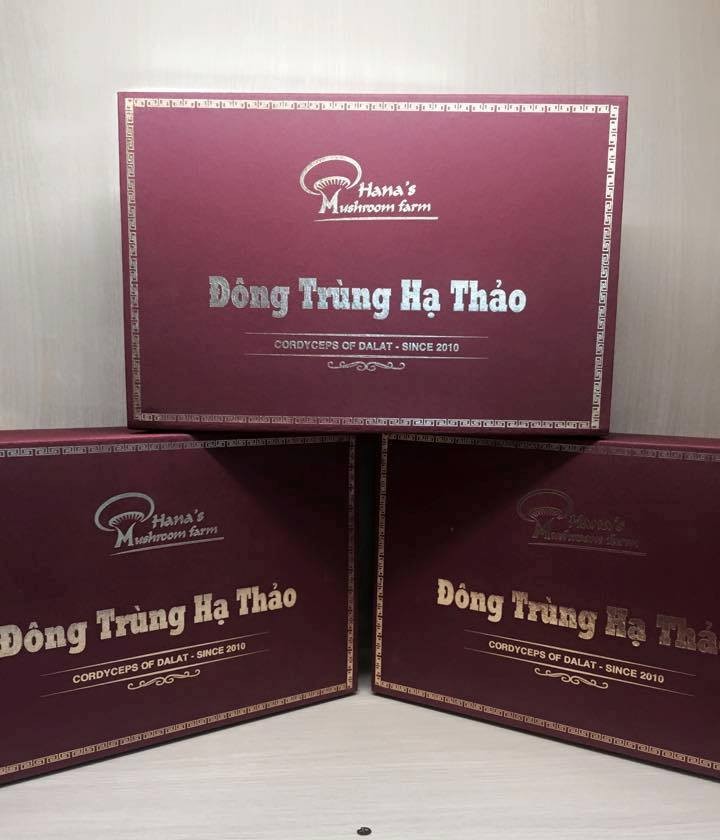 Nấm đông trùng hạ thảo “made in” Đà Lạt - Quà tặng từ thiên nhiên - ảnh 8