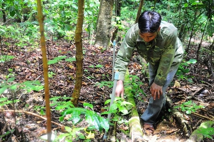 Thêm chính sách cho vùng khó khăn- thêm bình đẳng giữa các dân tộc - ảnh 3