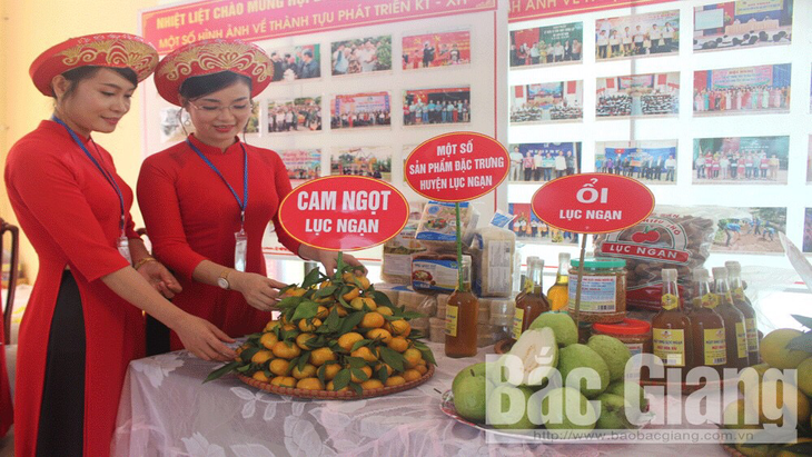 Bắc Giang: Khai mạc hội chợ cam, bưởi Lục Ngạn 2019 - ảnh 1