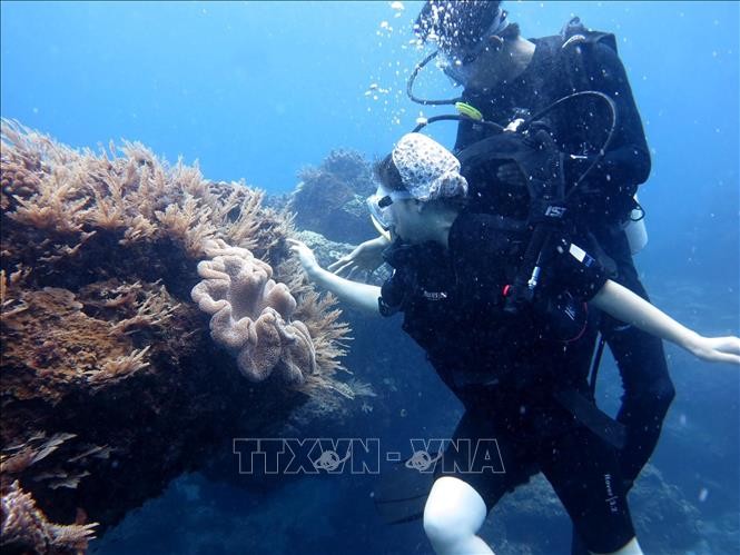 Triển khai Chương trình trọng điểm điều tra cơ bản tài nguyên, môi trường biển và hải đảo đến năm 2030 - ảnh 1