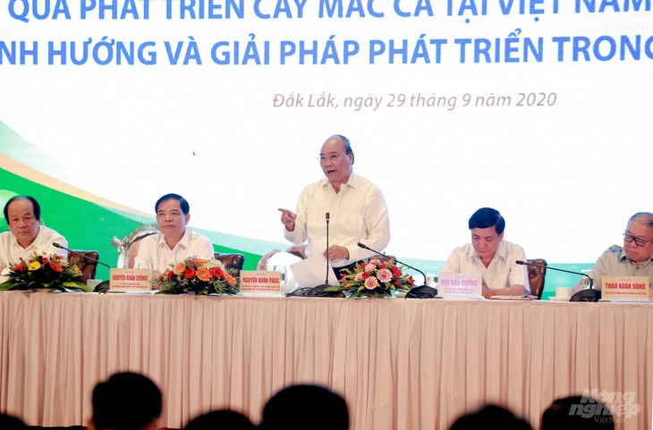  Thủ tướng Nguyễn Xuân Phúc dự Hội nghị bàn giải pháp phát triển cây mắc ca - ảnh 1