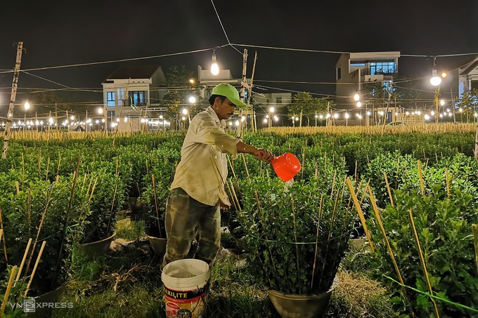 Những làng hoa ngày giáp Tết - ảnh 3