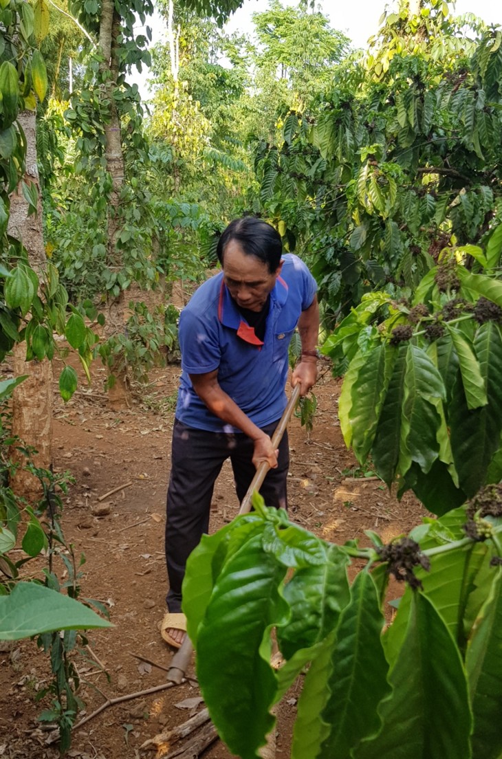 Bome, già làng uy tín trong cộng đồng dân tộc xã Hà Bầu - ảnh 3