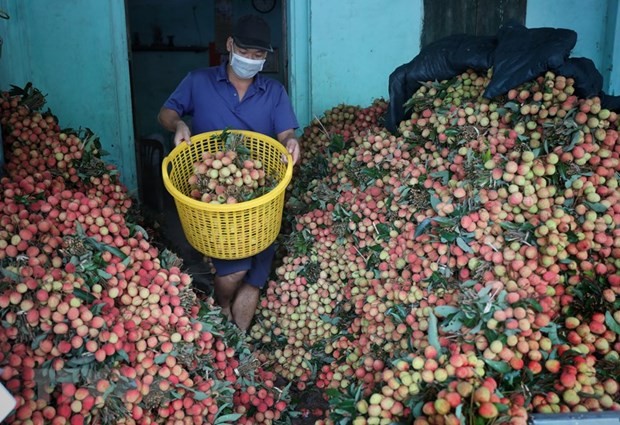 Trong tháng 6 sẽ có các mô hình tiêu thụ nông sản đảm bảo an toàn dịch bệnh - ảnh 1