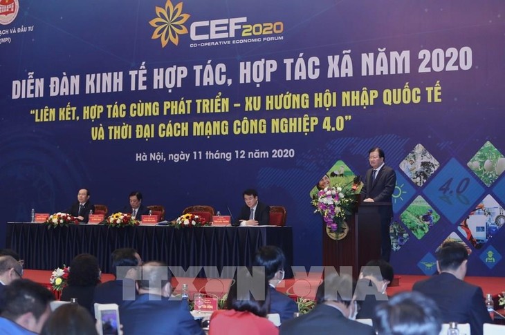 Diễn đàn kinh tế hợp tác, hợp tác xã năm 2021 dự kiến diễn ra trong quý III/2021    - ảnh 1