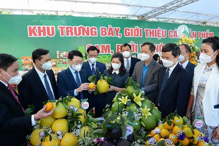 Bắc Giang tăng cường kết nối tiêu thụ nông sản trên sàn thương mại điện tử - ảnh 2