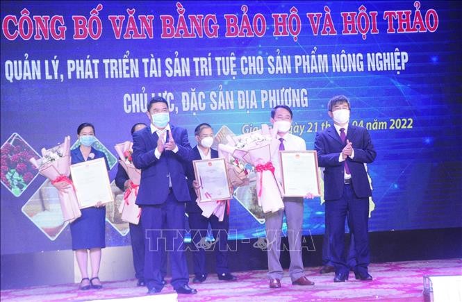 Trao văn bằng bảo hộ sản phẩm nông nghiệp chủ lực, đặc sản tiêu biểu của Gia Lai - ảnh 1