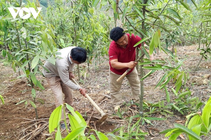 Sắc xuân trên các bản làng người La Hủ - ảnh 1