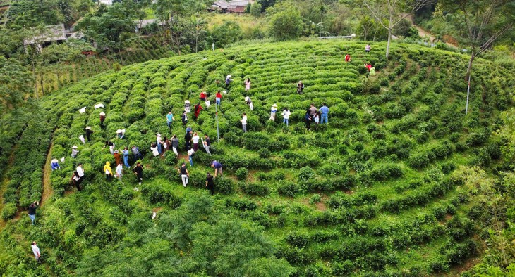 Thái Nguyên - Vùng đất “Đệ nhất danh Trà”, nơi hội tụ tài nguyên du lịch tự nhiên và văn hoá  - ảnh 2