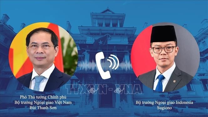 Việt Nam – Indonesia đẩy mạnh hợp tác thực chất trong năm 2025 - ảnh 1