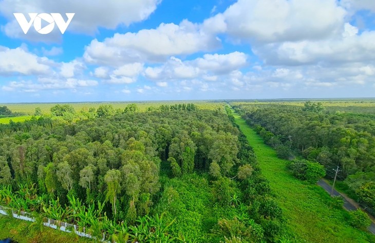 Về Đất Mũi ghé rừng U Minh Hạ - ảnh 1