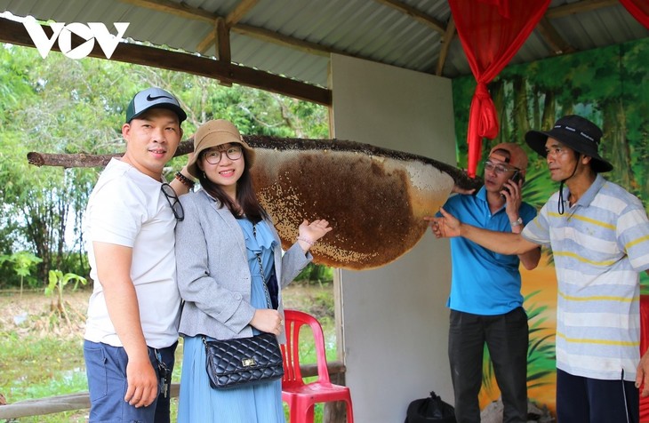 Về Đất Mũi ghé rừng U Minh Hạ - ảnh 2