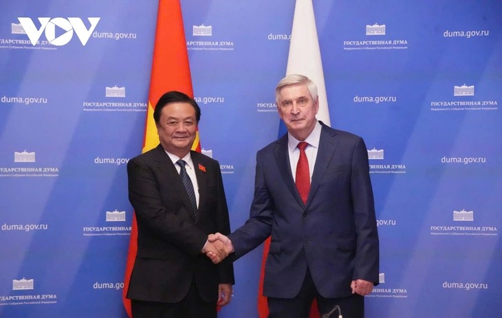Việt Nam - Nga đẩy mạnh hợp tác nghị viện - ảnh 1
