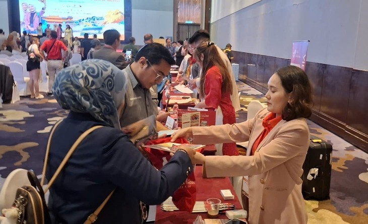 Huế và Đà Nẵng chinh phục thị trường du khách Malaysia - ảnh 1