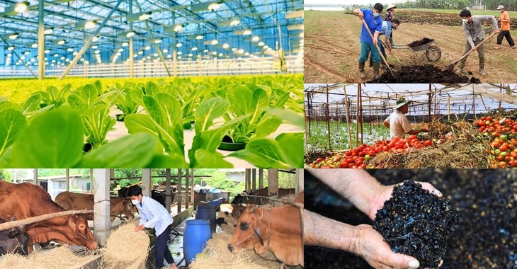 Thúc đẩy kinh tế tuần hoàn trong lĩnh vực nông nghiệp - ảnh 1