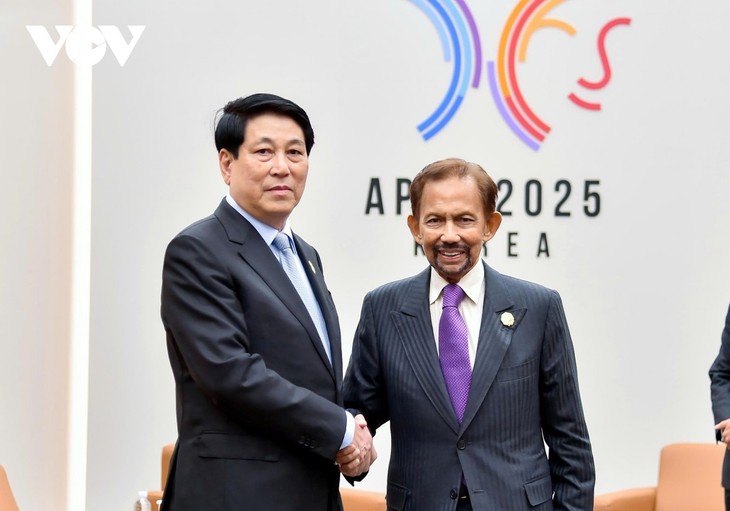 Phát triển hơn nữa quan hệ thực chất Việt Nam - Brunei - ảnh 1