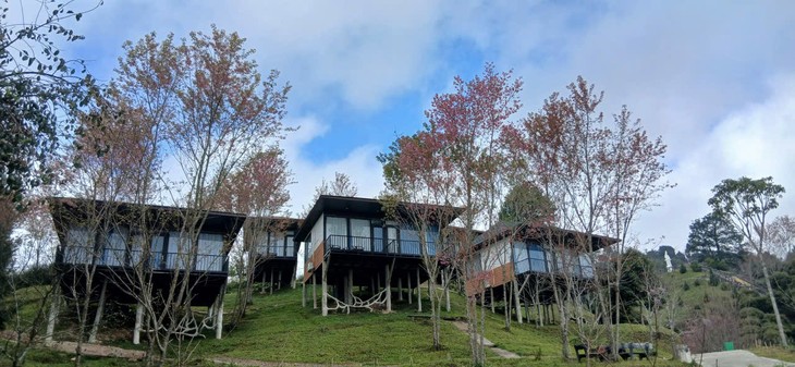 Đường bay mới kết nối với TP Hồ Chí Minh và sự phát triển du lịch tại Điện Biên - ảnh 7