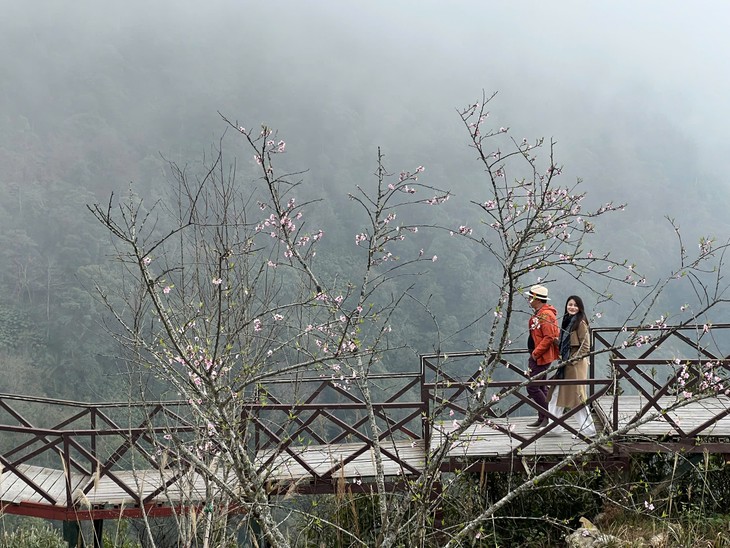 Cổng trời Ô Quy Hồ: Điểm hẹn văn hóa giữa kỳ quan thiên nhiên Tây Bắc - ảnh 9