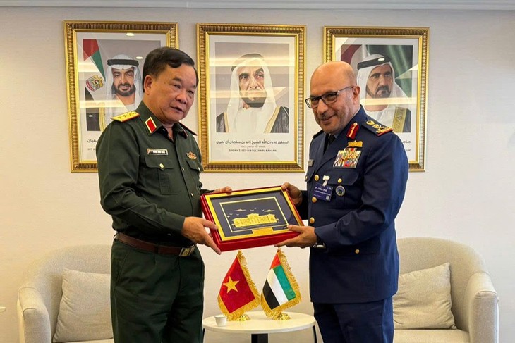 Вьетнам и ОАЭ сосредотачивают приоритетное внимание на продвижении практического оборонного сотрудничества - ảnh 1