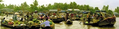 ទួរទេសចរណ៍រកឃើញនៅដំបន់វាលទំនាបទន្លេ  Cuu Long។ - ảnh 1