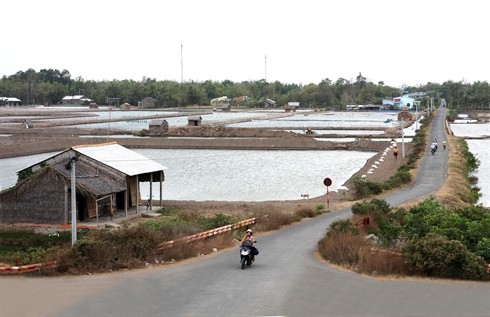 Tay Ninh៖ពង្រីកគ្រប់កំលាំងក្នុងការកសាងជនបទថ្មី។ - ảnh 1