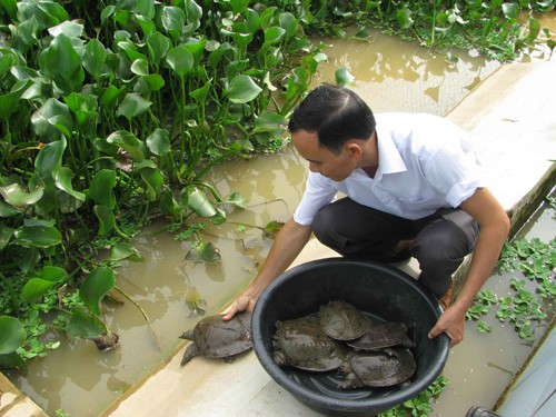 Le Trong Khanhប្រធានសហករណ៍ដើម្បីប្រជាជន។ - ảnh 1