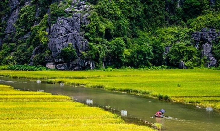 ផ្ទាំងគំនូរវប្បធម៌វៀតណាមឆ្នាំ២០១៤ - ảnh 1