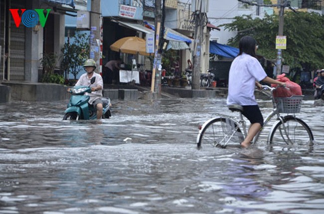 ຍີ່ປຸ່ນຊ່ວຍຫວຽດນາມຕ້ານນ້ຳຖ້ວມ - ảnh 1