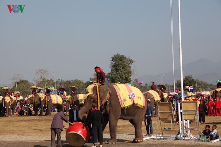 ງານມະຫາກຳບຸນຊ້າງໄຊຍະບູລີ 2017 ທີ່ເປັນເອກະລັກສະເພາະຂອງລາວ - ảnh 10