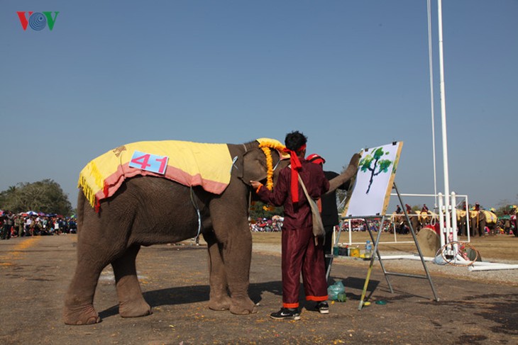 ງານມະຫາກຳບຸນຊ້າງໄຊຍະບູລີ 2017 ທີ່ເປັນເອກະລັກສະເພາະຂອງລາວ - ảnh 11