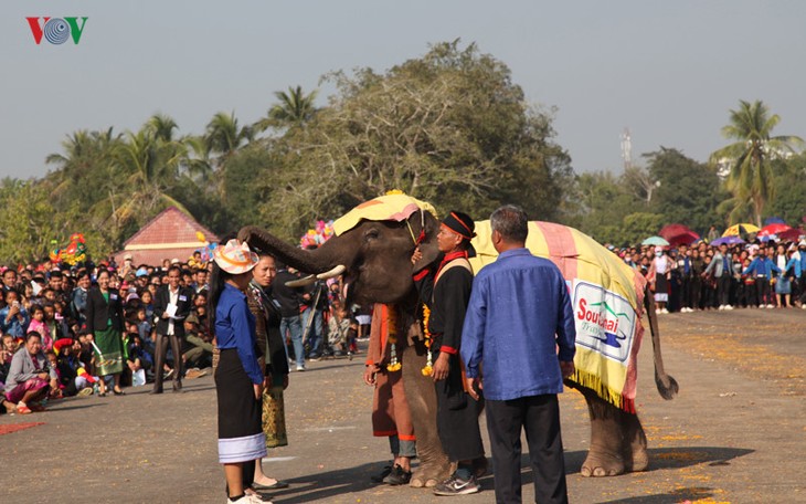 ງານມະຫາກຳບຸນຊ້າງໄຊຍະບູລີ 2017 ທີ່ເປັນເອກະລັກສະເພາະຂອງລາວ - ảnh 13