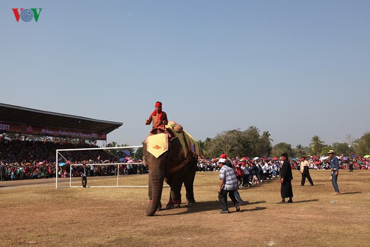 ງານມະຫາກຳບຸນຊ້າງໄຊຍະບູລີ 2017 ທີ່ເປັນເອກະລັກສະເພາະຂອງລາວ - ảnh 15